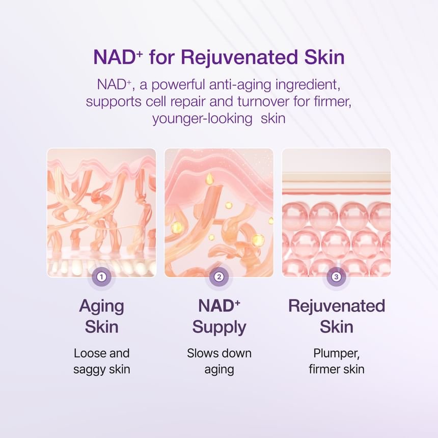 Numbuzin No. 9 NAD Bio Lifting-sil Essence 50ml - Image 3